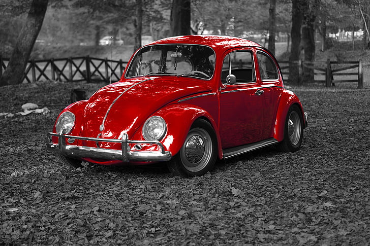 VW, Besouro, Bug, vintage, veículo, velho, retrô