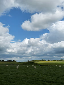 Kornvalis, Anglijoje, Jungtinė Karalystė, Gamta, dangus, debesys, kraštovaizdžio