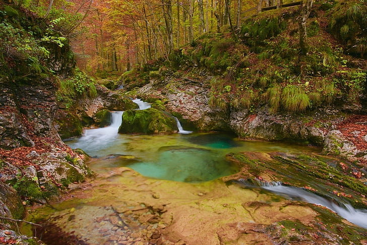 vodného toku, jeseň, vody, farby, Príroda, Forest, jesenné lesy
