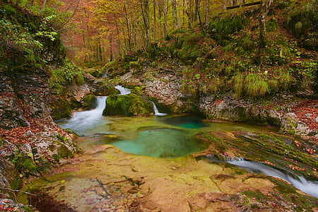 ciek wodny, jesień, wody, kolory, krajobraz, lasu, jesień las
