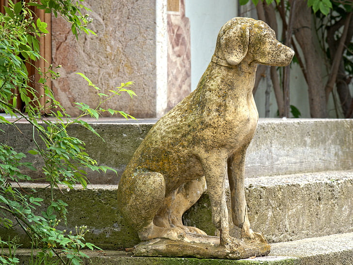 zunächst Hund, Eingang, Treppen, Steinfigur, Abbildung, Steintreppe, Deko