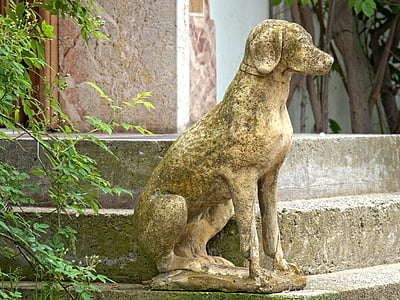iniţial de câine, intrare, Scari, Figura piatra, Figura, scară de piatră, Deco