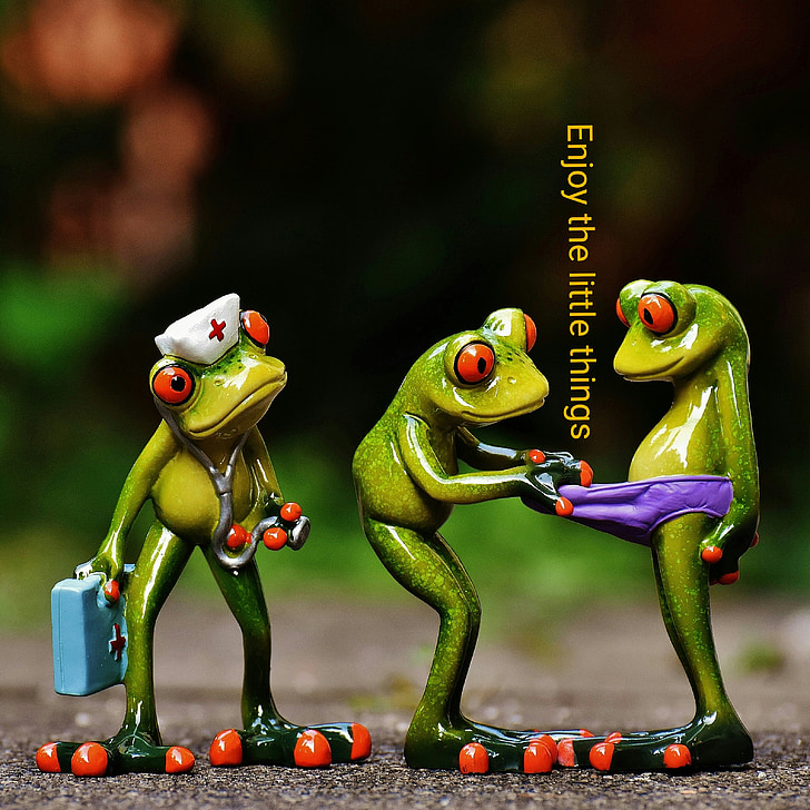 frogs, enjoy the little things, funny, cute, nurse, doctor on call, fun