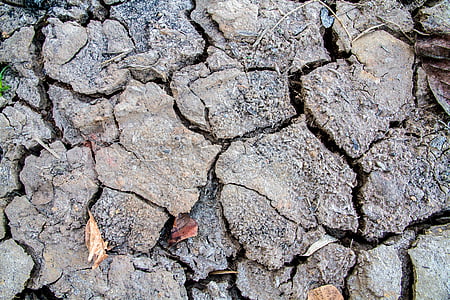 土壌, リフト, ひびの入った, 乾燥