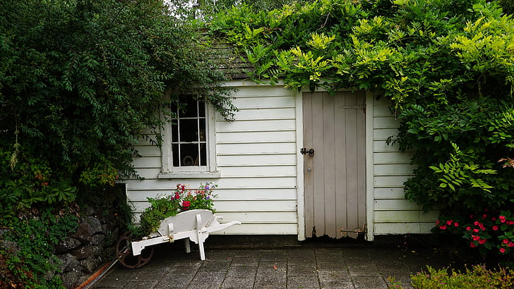 hut, green, log cabin, wheelbarrow, garden shed, house, outdoors