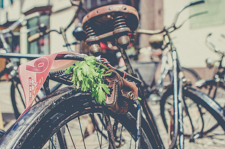 自転車, タイヤ, 古い, さびた, グリーン, 葉, 革