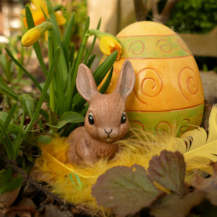 Veľkonočné, Veselú Veľkú noc, Veľkonočný zajačik, zajačik, obrázok, smiešny, sladký