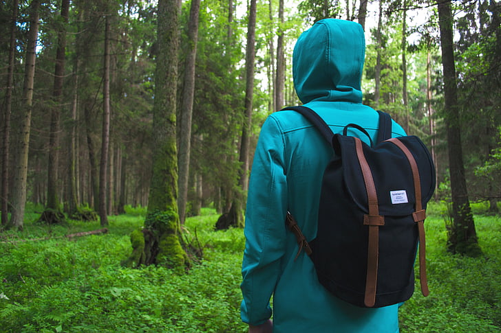 adventure, backpack, forest, hike, leaves, man, nature