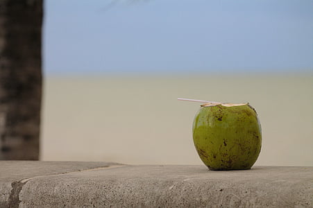 Coco, παραλία, υπόλοιπο, διακοπές, Χαλαρώστε, θερμότητας, ανανέωση