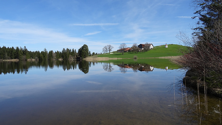 Bavière, Allgäu, Lac hegratsrieder, roseau, Lac, réflexion de l’eau, ferme