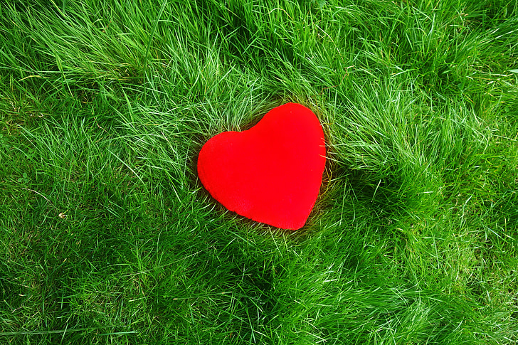 corazón, amor, símbolo, Romance, romántica, corazón rojo, San Valentín