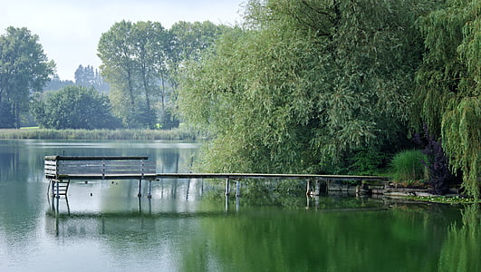 浮桥, web, 码头, 水, 湖, 自然, 绿色