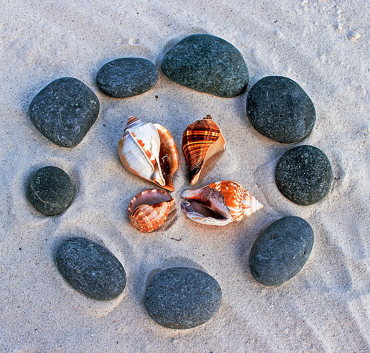 sea ​​stones, flat stones, beach, grey, sea shells
