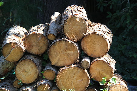 wood, chopped wood, pile, lumber, timber, tree, bark