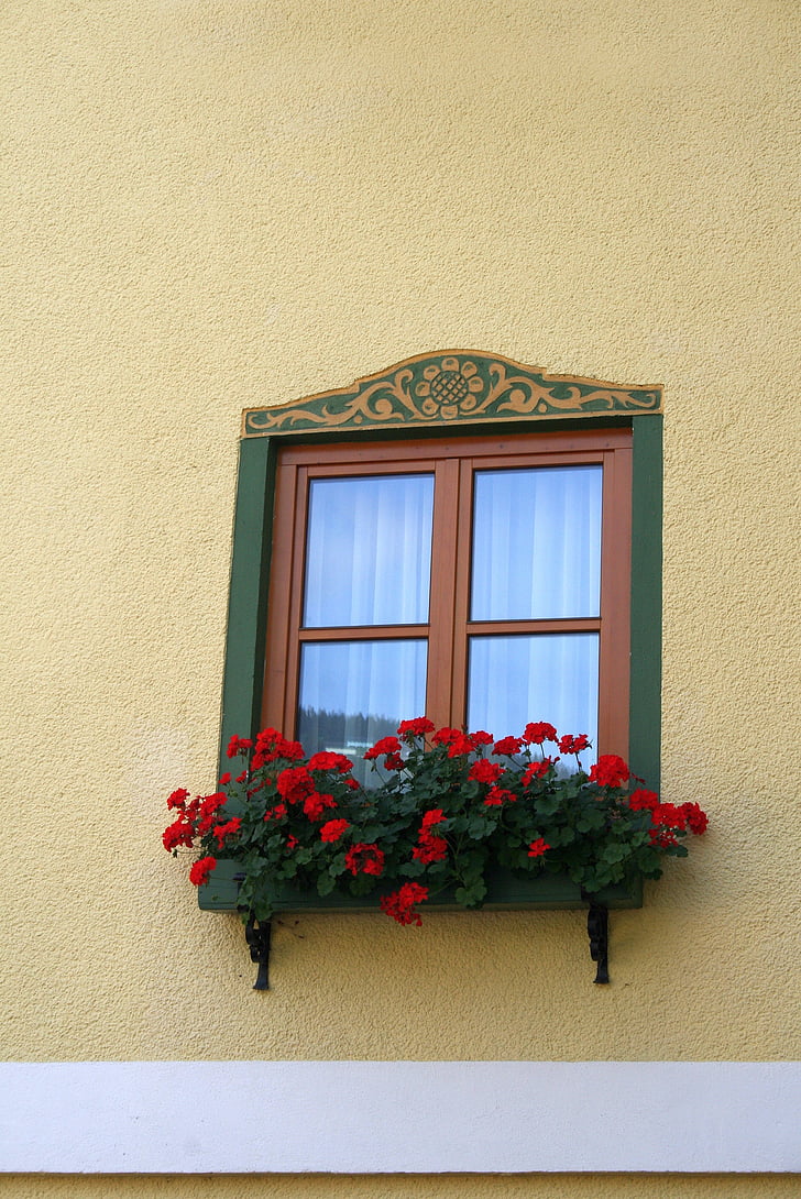 finestra, cornisa, casa, balcó, paret, Gerani