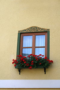 window, cornice, house, balcony, wall, geranium