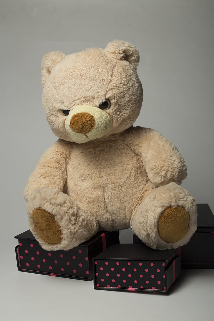 children, plush, gifts, teddy Bear, toy, bear, gift
