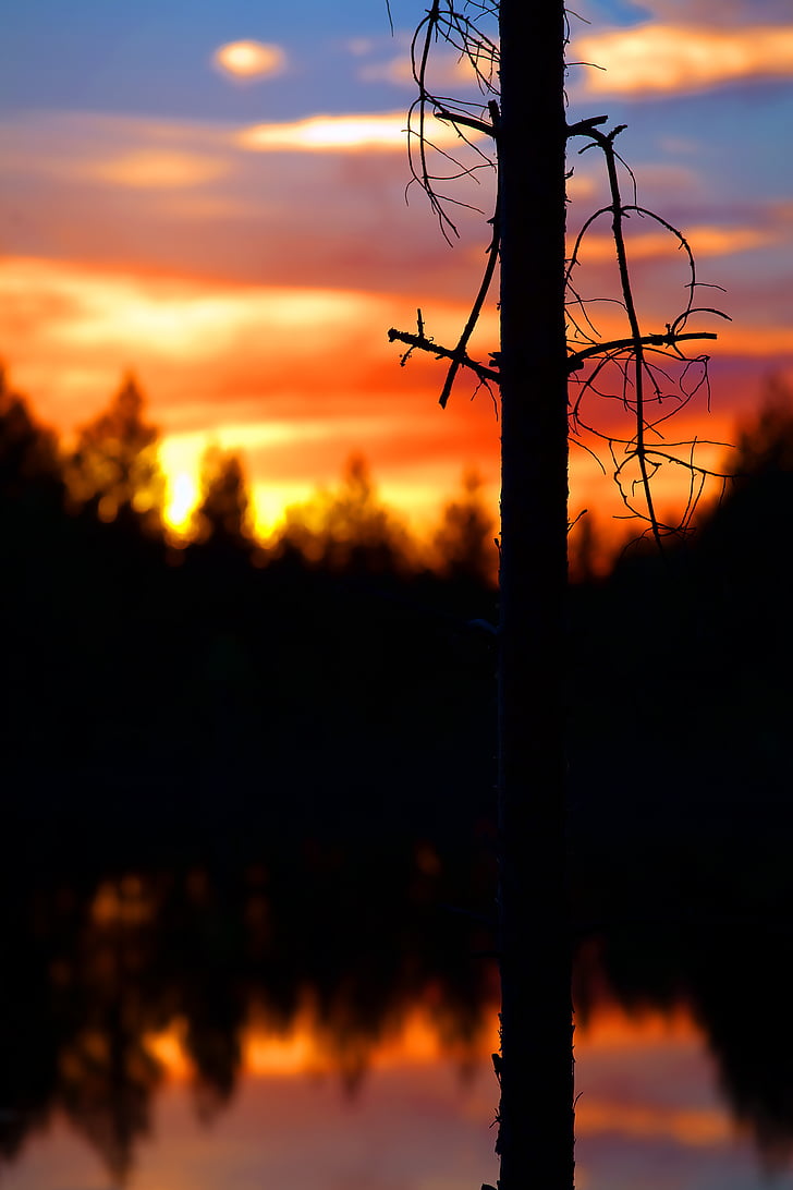 dusk, water, reflection, silhouette, sky, trees, sunset
