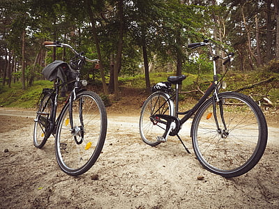 bicicleta, bicicletes, passejada en bicicleta, gira, vacances, viatges, bosc