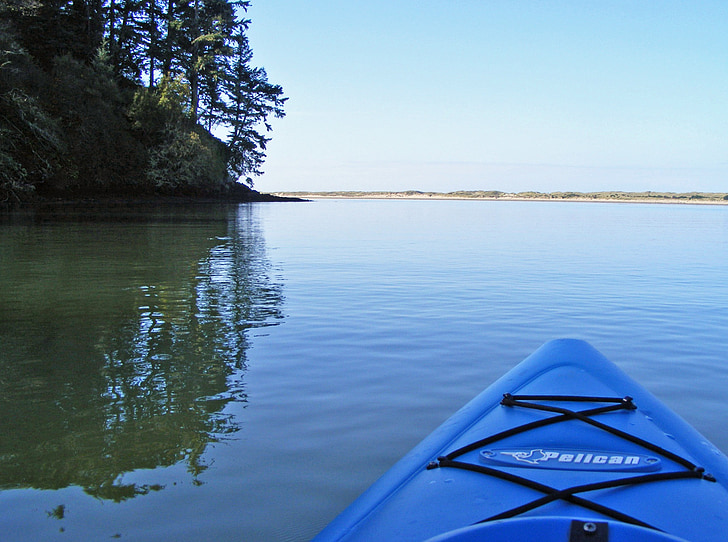 kayak, kayak, fiume, blu, acqua, nestucca, boschi