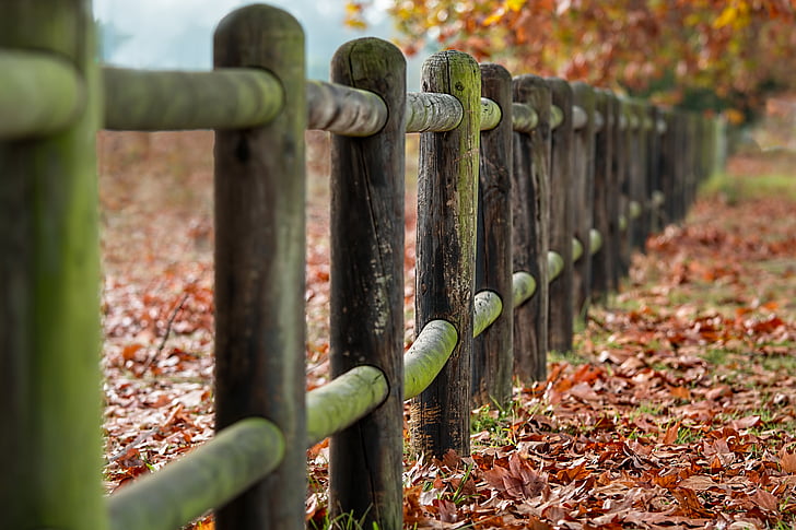poteaux de clôture, automne, feuilles, campagne, paysage, pâturage, clôture
