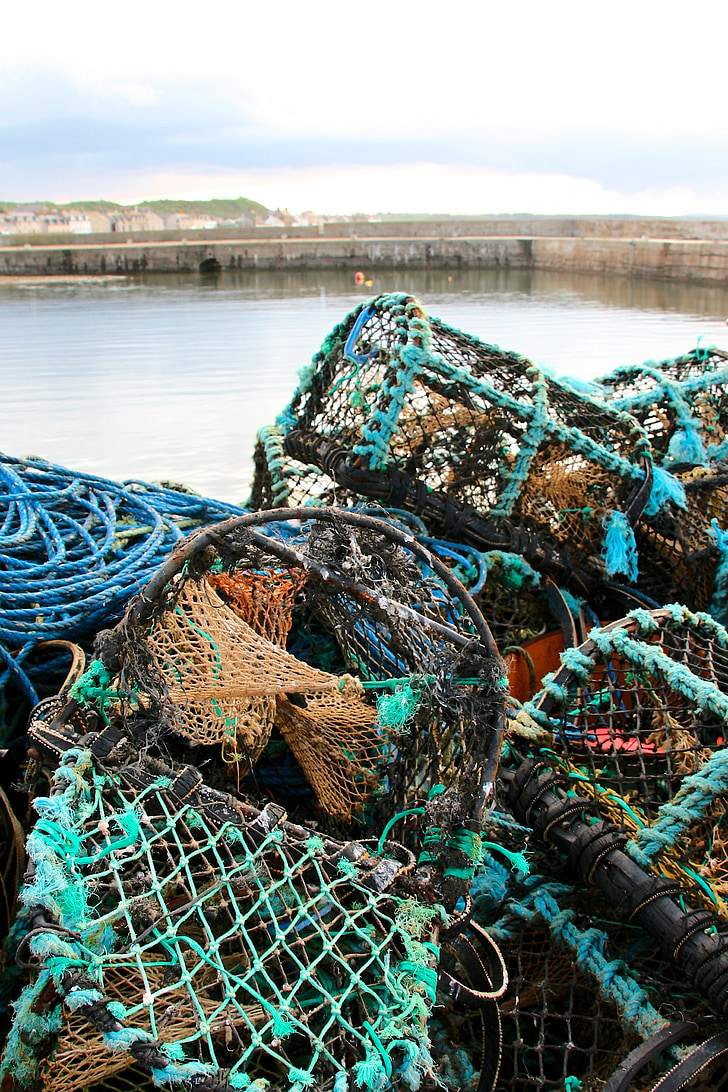 Fischer, δίκτυο, λιμάνι, παγίδες ψαριών, ψάρια, αλιευτικό δίχτυ, Ψάρεμα
