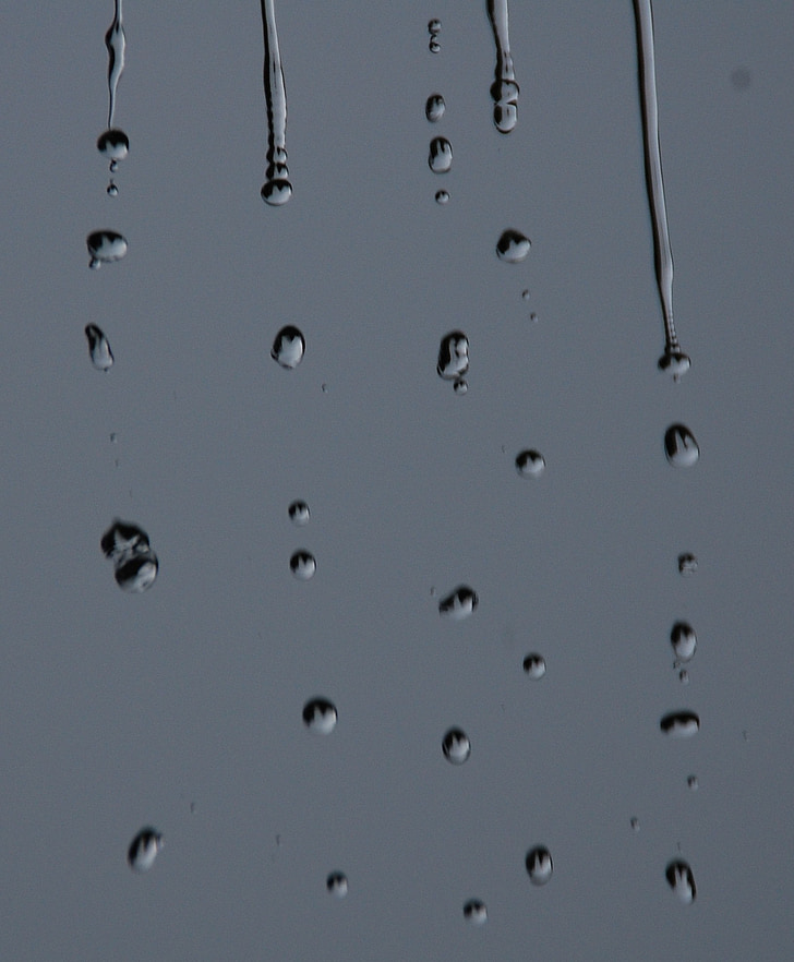 regn, Regndroppar, vatten, regndroppe, släpp, droplet, droppar