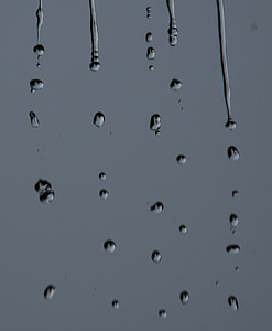 rain, raindrops, water, raindrop, drop, droplet, drops