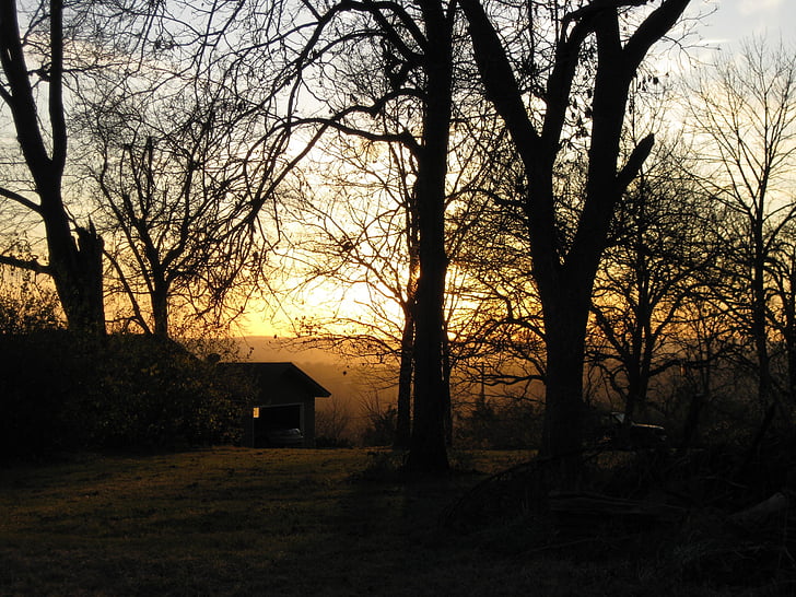 hjem, høst, solnedgang, Oregon illinois, høst, eiendom