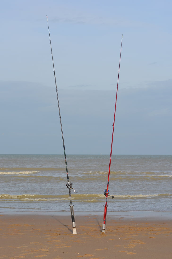 fishing rod, beach, sea, waves, water