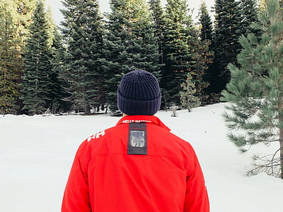 rood, jacketed, man, staande, voorzijde, Pine, bomen
