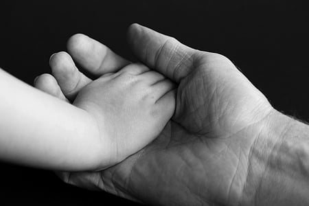 hand, hands, trust, child's hand, skin, detention, responsibility