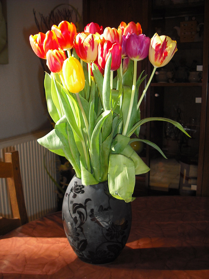 vase, tulip, flower