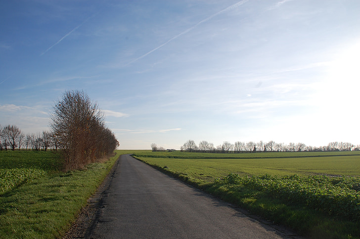 field, path, promenade