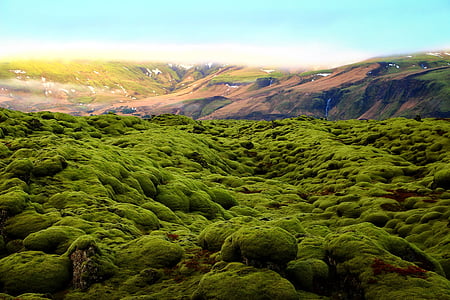 hijau, Lumut, pemandangan, Tanah, pernah-pernah tanah, Endless pemandangan, bidang lava eldhraun