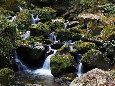 japan, kumamoto, kikuchi, valley, river, waterfall, autumn