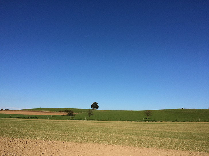 дърво, поле, небе, синьо
