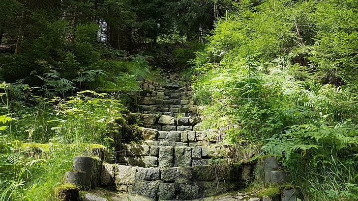 stairs, stone stairway, hiking, gradually, rise, forest, nature