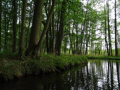 nehir, doğa, su, manzara, ağaç, Bach, Panorama