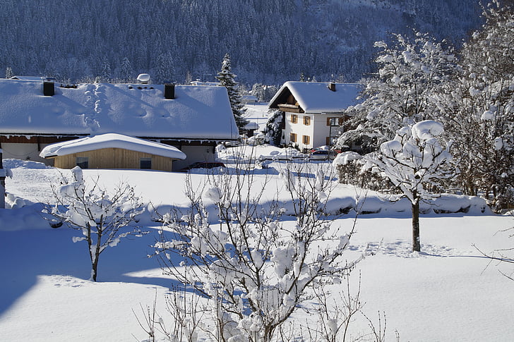 wintry, landscape, snowy, village, snow, cold, sun