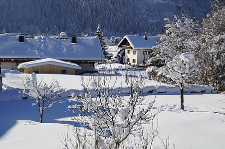 hivernal, paisatge, cobert de neu, poble, neu, fred, sol