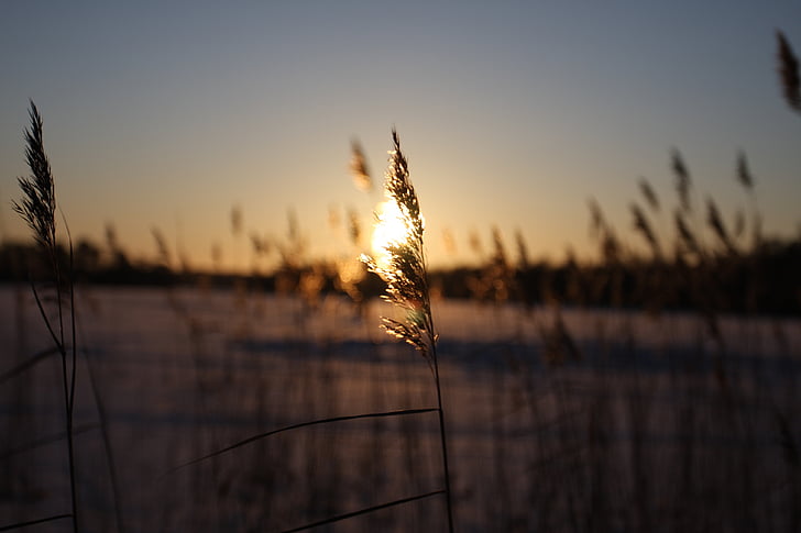 Фото, Захід сонця, сніг, лід, заморожені озера, Швеція, Природа