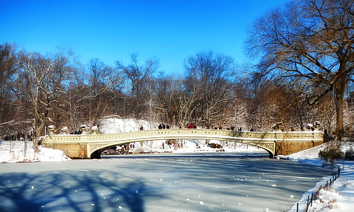 Central park, New york city, Landmark, winter, sneeuw, ijs, vijver