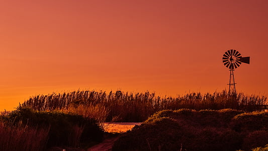 windmill, sunset, reeds, landscape, countryside, farm, rural