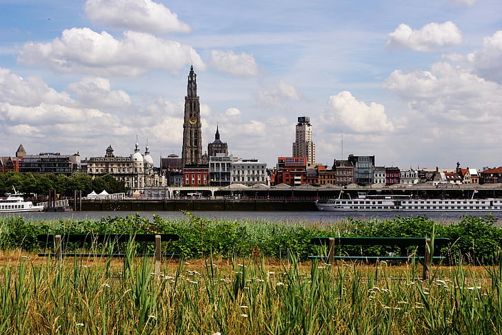 Anversa, Belgio, Skyline, panchine, erba, fiume, Schelde