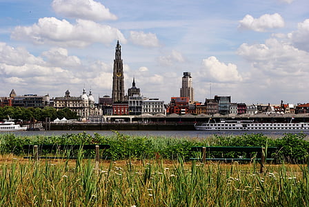 Antwerpen, Belgien, Skyline, bänkar, gräs, floden, Schelde