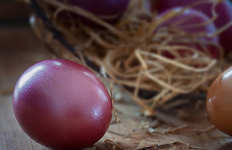 イースターの卵, 卵, 色, 色, 色の卵, イースター, 税関