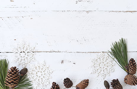 white wood, desk, winter, christmas, flatlay, pine cone, rustic
