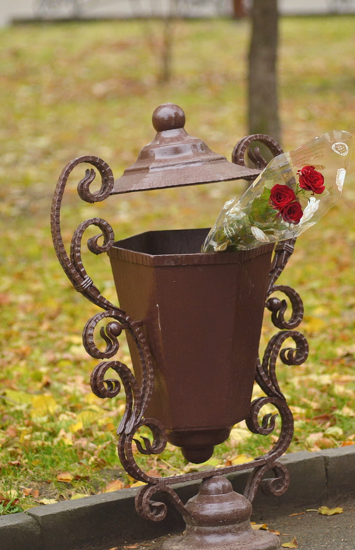 roses, flowers, flowers in an urn, did not come, the meeting will not be, outdoors