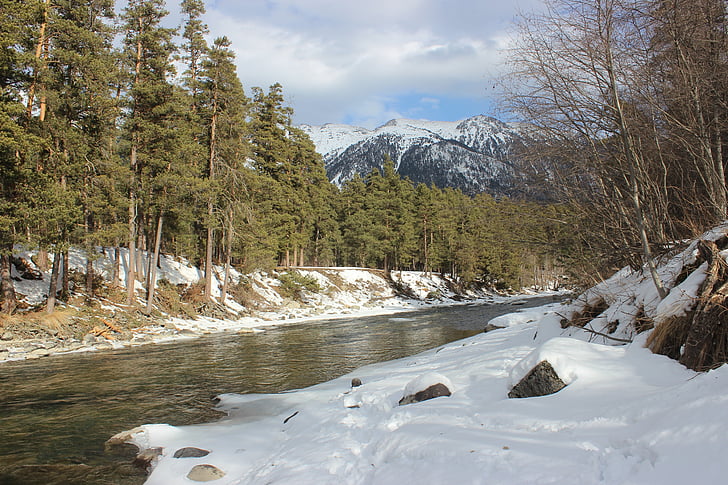 arkhyz, muntanyes, bosc, l'hivern, bellesa, riu, paisatge